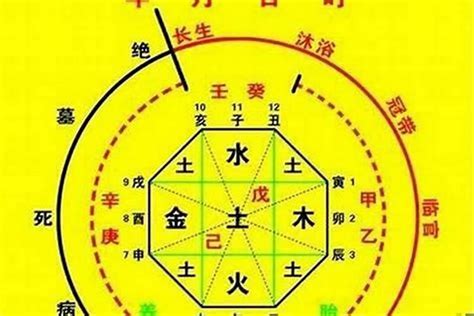 八字金輿|【金輿意思】金輿意象大解析：八字有它的貴人運勢超旺？